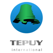 Tepuy International Logo PNG Vector