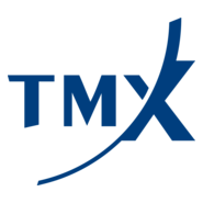 TMX Group Logo PNG Vector