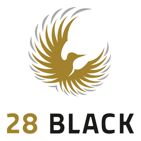 28 Black Logo PNG Vector