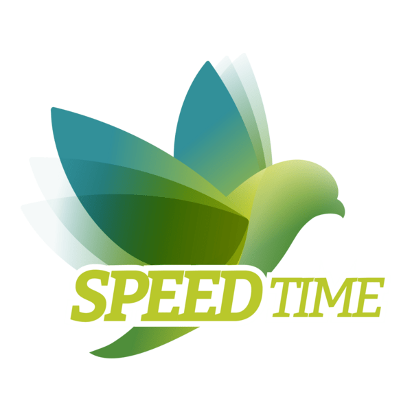 a green bird Logo PNG Vector