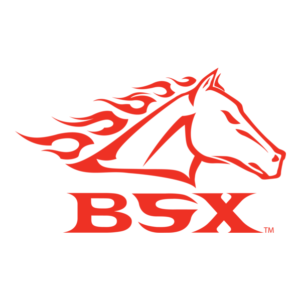 BSX Logo PNG Vector