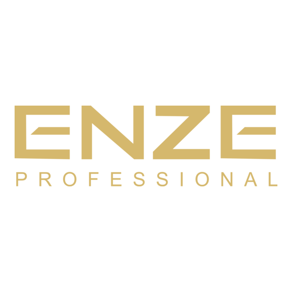 Enze Logo PNG Vector