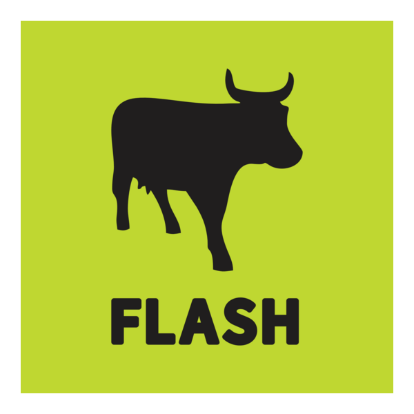 Flash Logo PNG Vector