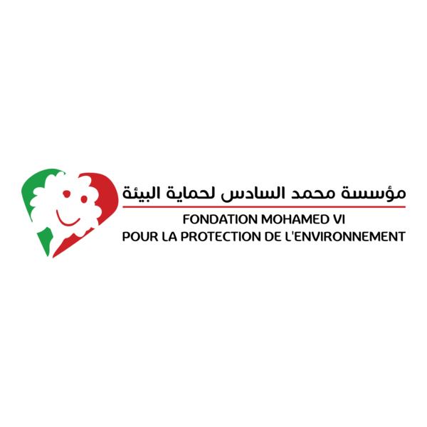 Fondation Mohammed VI Logo PNG Vector