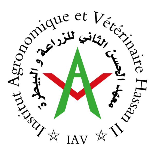 IAV - Maroc Logo PNG Vector