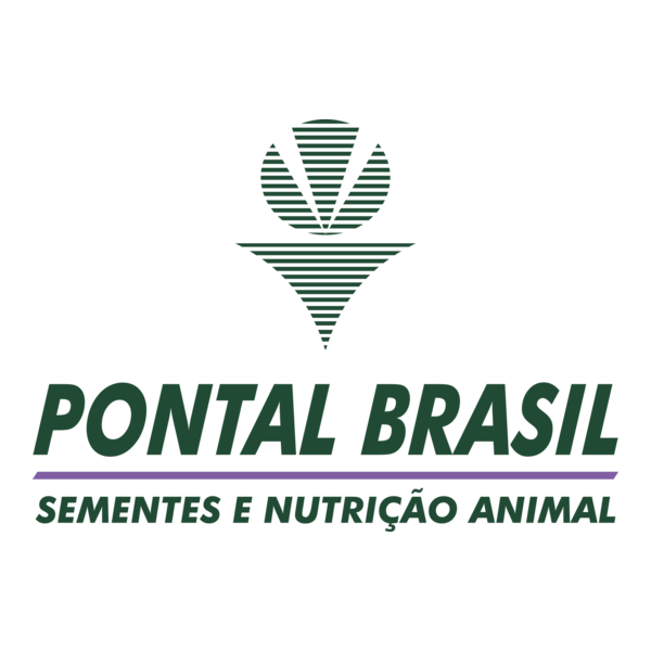 PONTAL BRASIL Logo PNG Vector