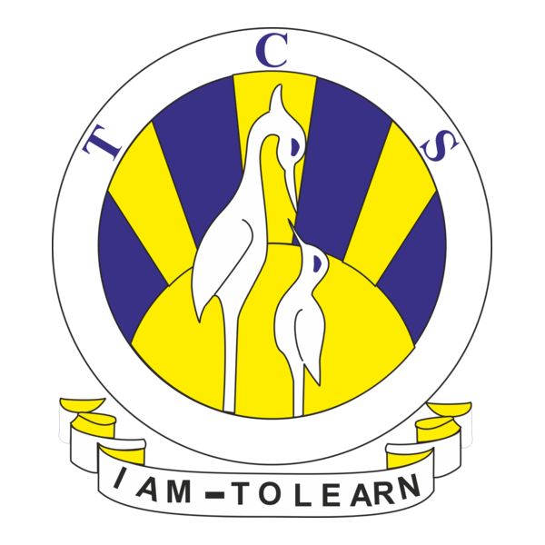 The City School Logo PNG Vector