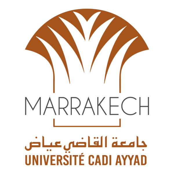 Université Cadi Ayyad - Marrakech - Maroc Logo PNG Vector