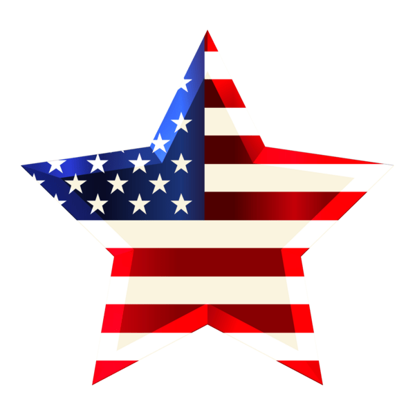 USA Star Flag Logo PNG Vector