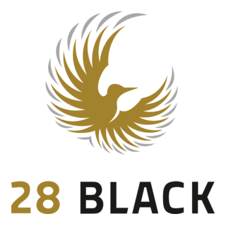 28 Black Logo PNG Vector