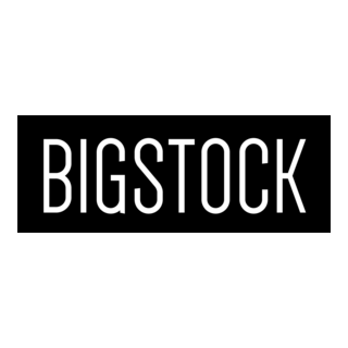 Bigstock Logo PNG Vector