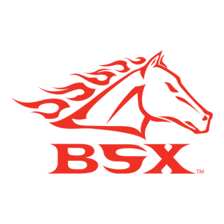 BSX Logo PNG Vector