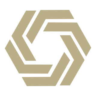 Commercial Television Hong Kong Logo PNG Vector