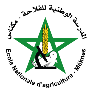 Ecole nationale d'agriculture - Meknes Logo PNG Vector