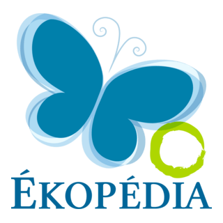 Ekopedia Logo PNG Vector