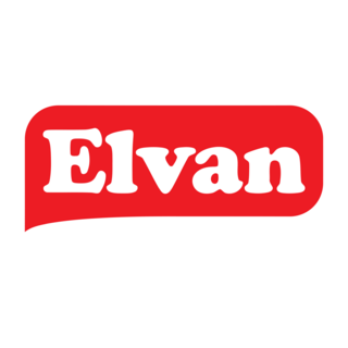 Elvan Logo PNG Vectors Free Download