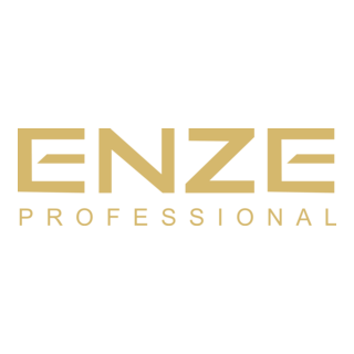 Enze Logo PNG Vector