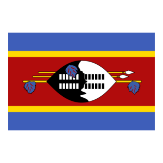 Flag of Swaziland Logo PNG Vector