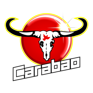 flamengo - carabao Logo PNG Vector