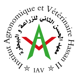 IAV - Maroc Logo PNG Vector