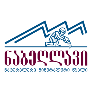 Nabeghlavi Logo PNG Vector