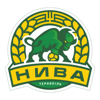 PFK Nyva Ternopil Logo PNG Vector