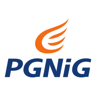 PGNiG Logo PNG Vector