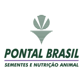 PONTAL BRASIL Logo PNG Vector