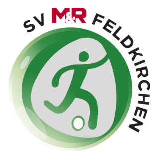 SV Feldkirchen Logo PNG Vector