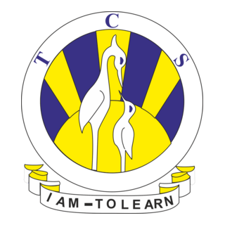 The City School Logo PNG Vector