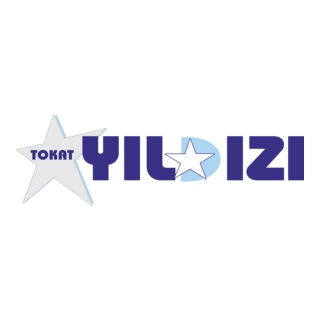 tokat yıldızı Logo PNG Vector