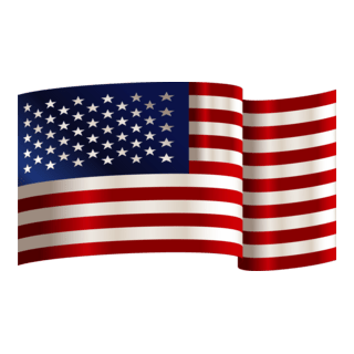 USA Flag Logo PNG Vector