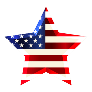 USA Star Flag Logo PNG Vector