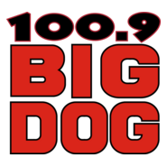 100.9 Big Dog Logo PNG Vector