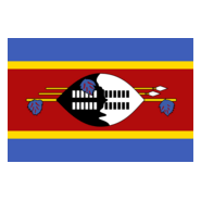 Flag of Swaziland Logo PNG Vector