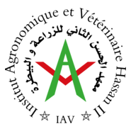 IAV - Maroc Logo PNG Vector