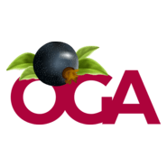 Oga Design Logo PNG Vector