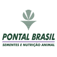 PONTAL BRASIL Logo PNG Vector