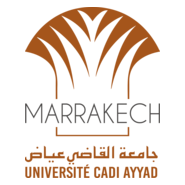 Université Cadi Ayyad - Marrakech - Maroc Logo PNG Vector