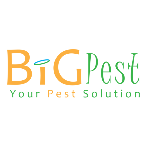 BIG PEST Logo PNG Vector
