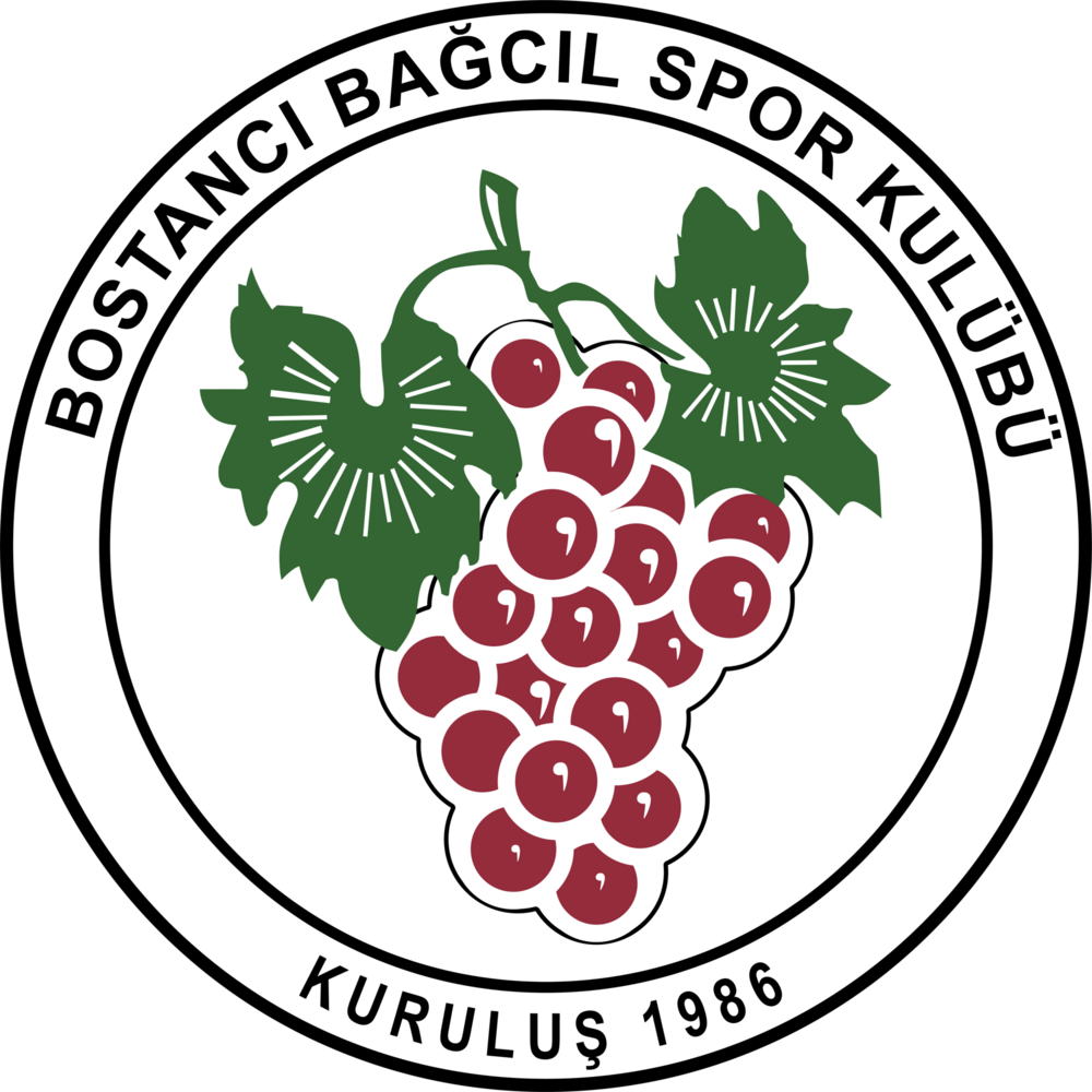 Bostanci Bagcil Spor Kulubu Logo PNG Vector