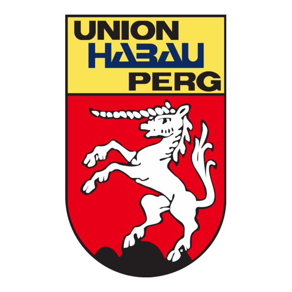 DSG Union Perg Logo PNG Vector