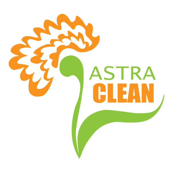 flower the Aster Logo PNG Vector