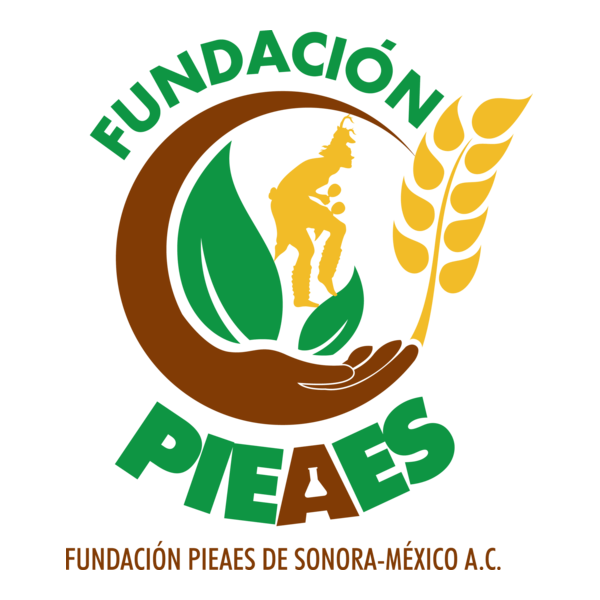 Fundacion Pieaes Logo PNG Vector