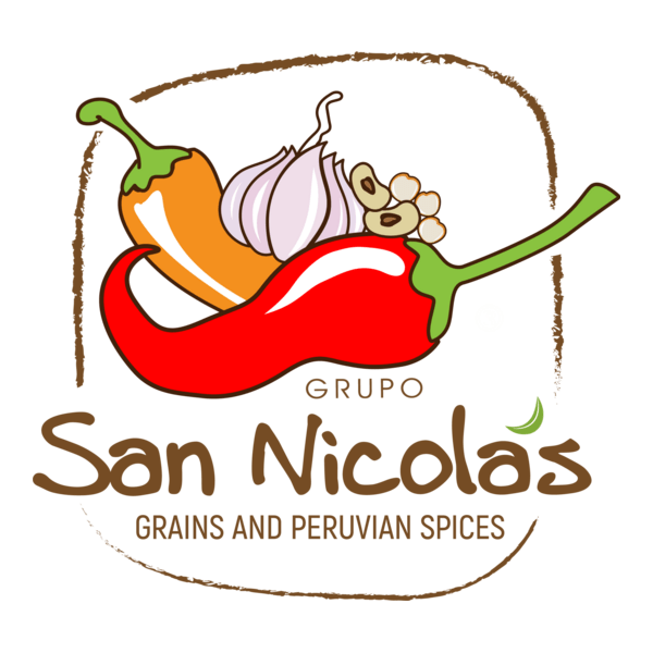 Grupo San Nicolas Logo PNG Vector