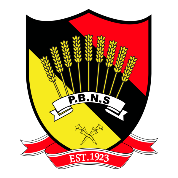 Negeri Sembilan FA 2015- Logo PNG Vector