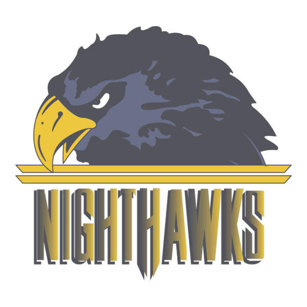 NORFOLK NIGHTHAWKS Logo PNG Vector