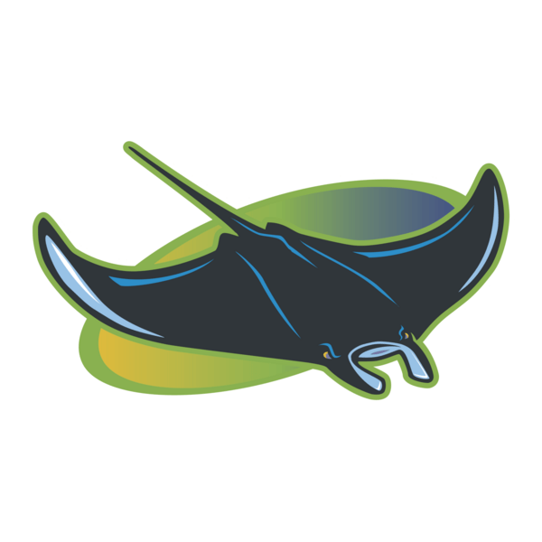 Tampa Bay Devil Rays Logo PNG Vector