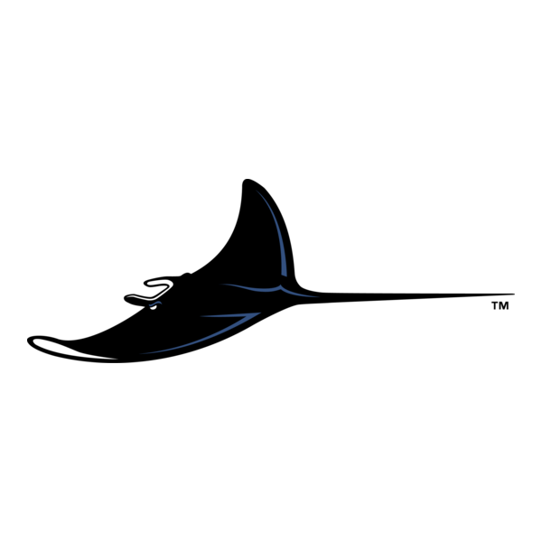 Tampa Bay Devil Rays Logo PNG Vector