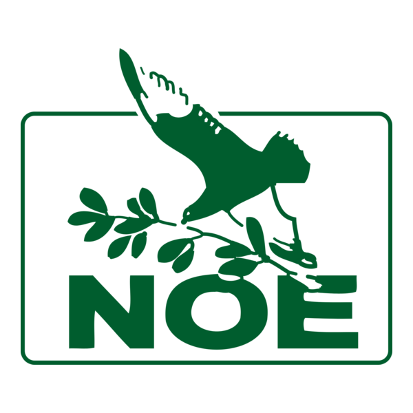 TV NOE Logo PNG Vector